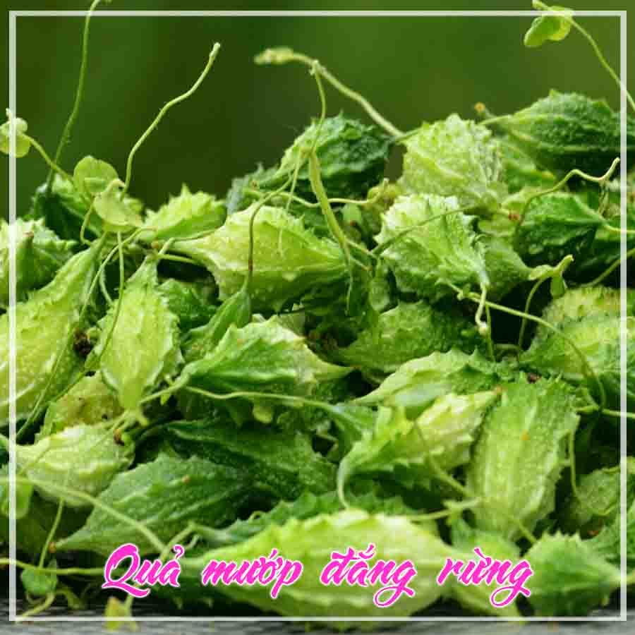 1kg Trái Khổ Qua Rừng sắt lát khô sạch