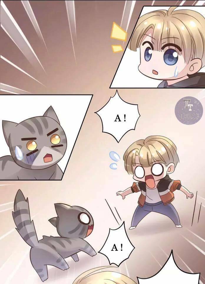 dưới móng vuốt mèo chapter 19 32