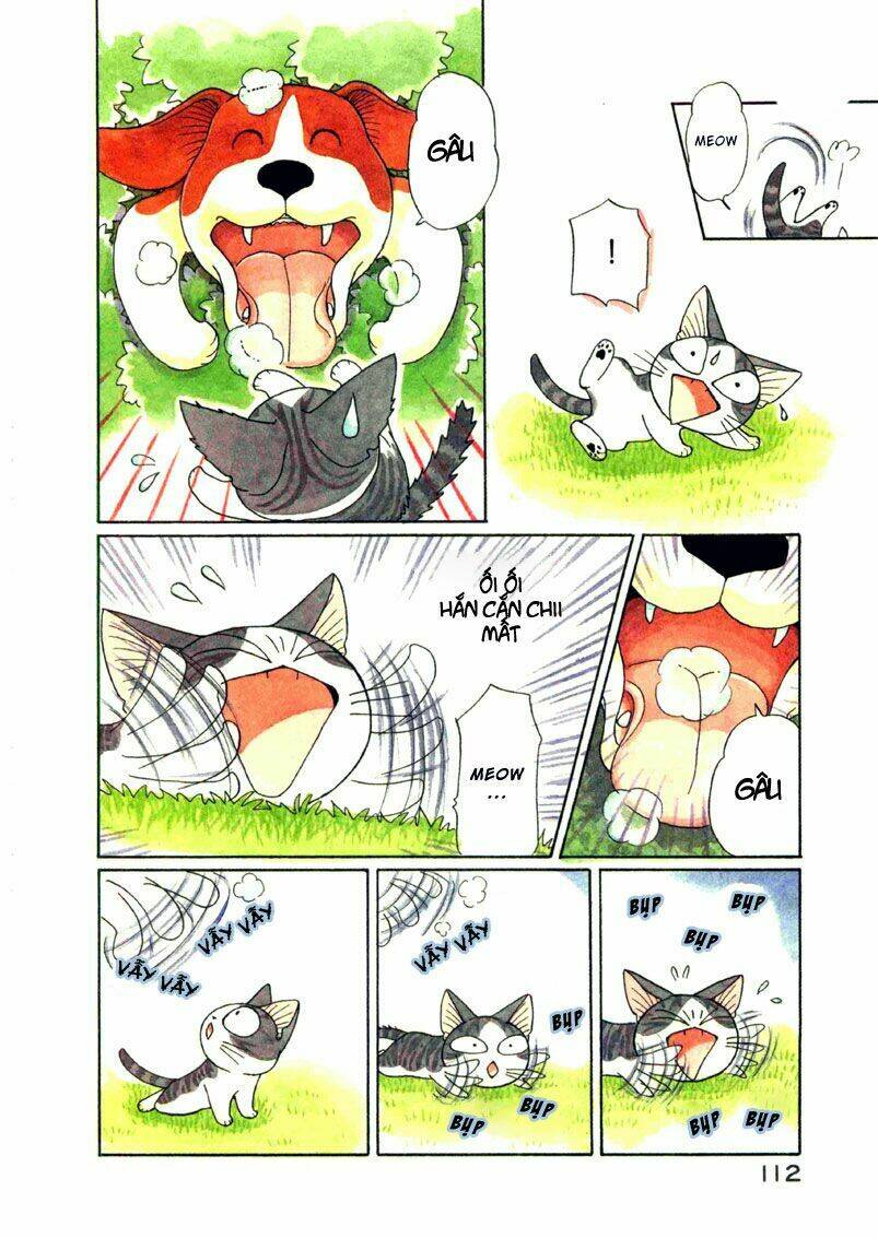 chi's sweet home chapter 70 7