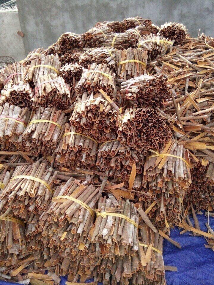 Nhang thơm hương tết xưa - Nhang Thảo Mộc Dương Minh 180cây 30cm nhang sạch 100% thành phần tự nhiên từ các loại thảo dược