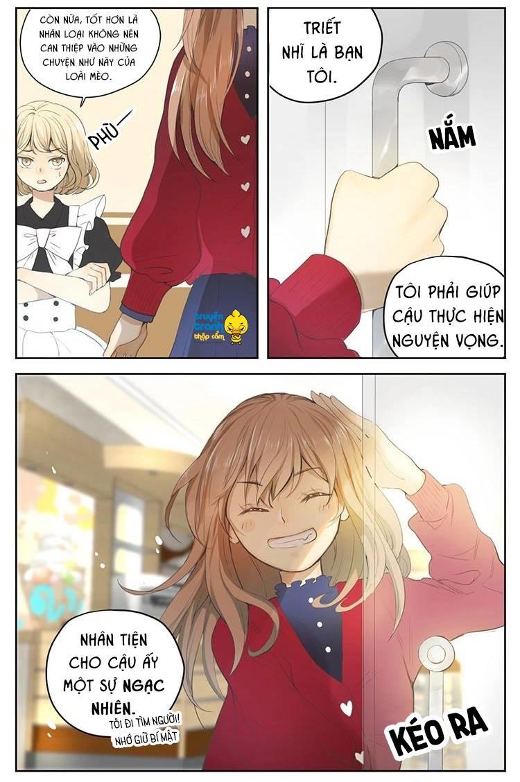 cứu mạng ! loài mèo thống trị thế giới rồi ! chapter 27 10