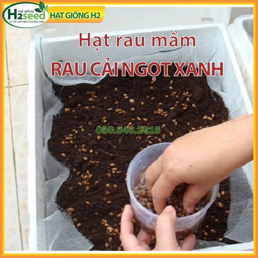 3 gói Hạt rau mầm rau cải ngọt Xanh, gói 50g nảy mầm đồng đều