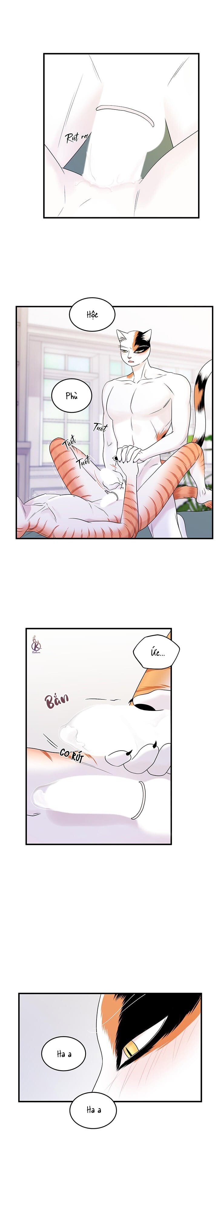 dự án xanh chapter 39 2