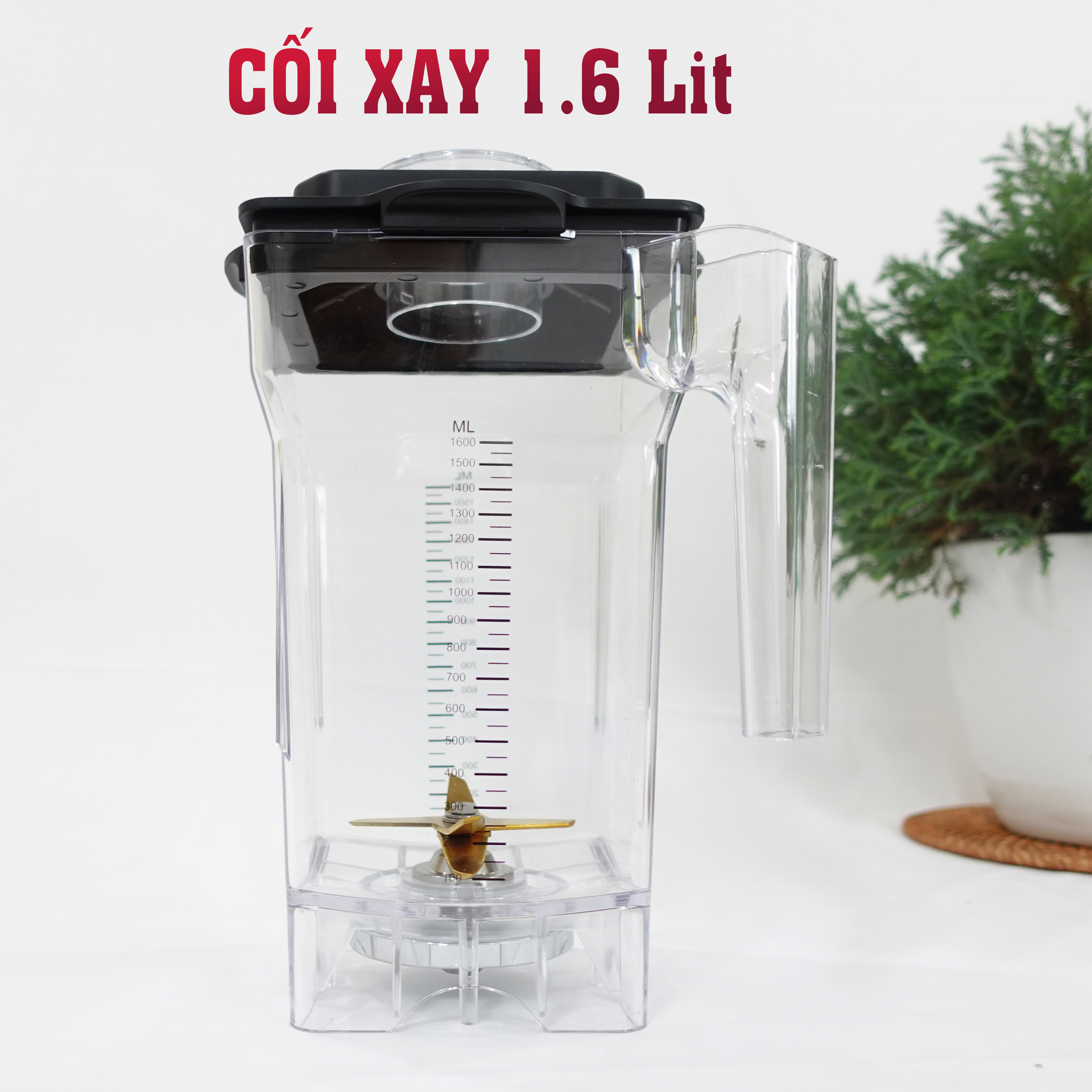 Máy xay sinh tố công nghiệp - BIOCHEF BIG 2 - Công Suất 2000W - Hàng Chính Hãng