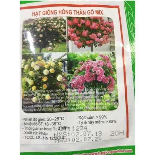 HẠT GIỐNG HOA HỒNG THÂN GỖ MIX