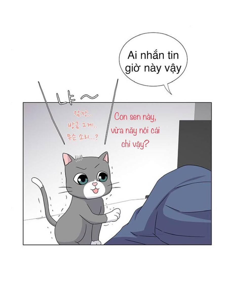 idol và sếp, em yêu ai? chapter 77 19