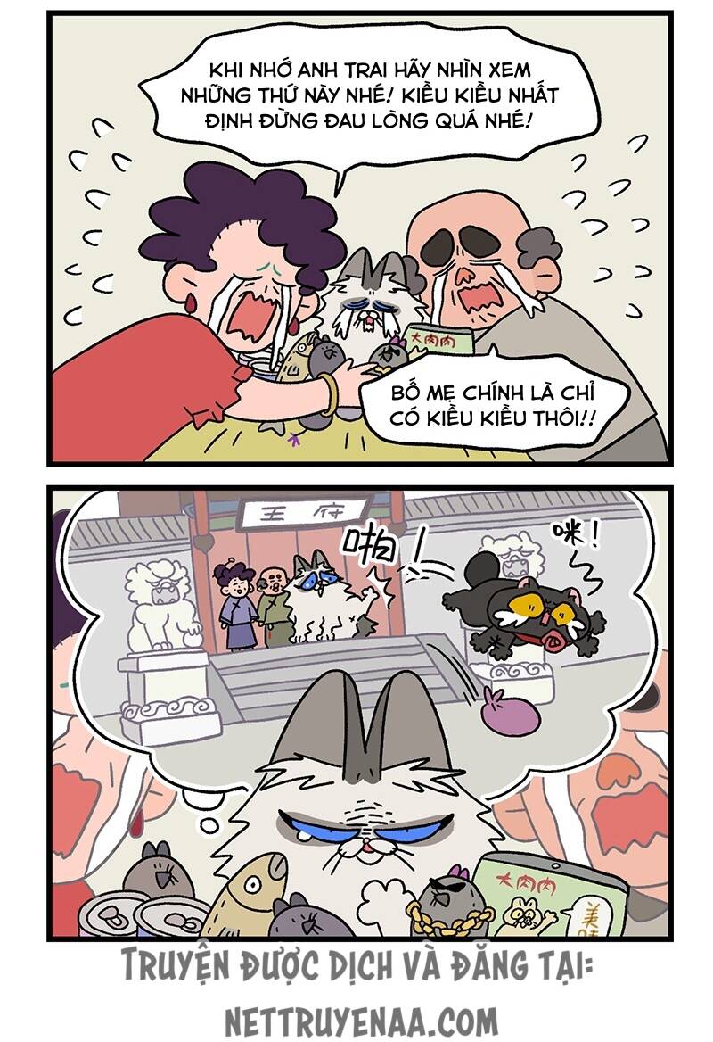 a mãn và mạch trà chapter 20 6