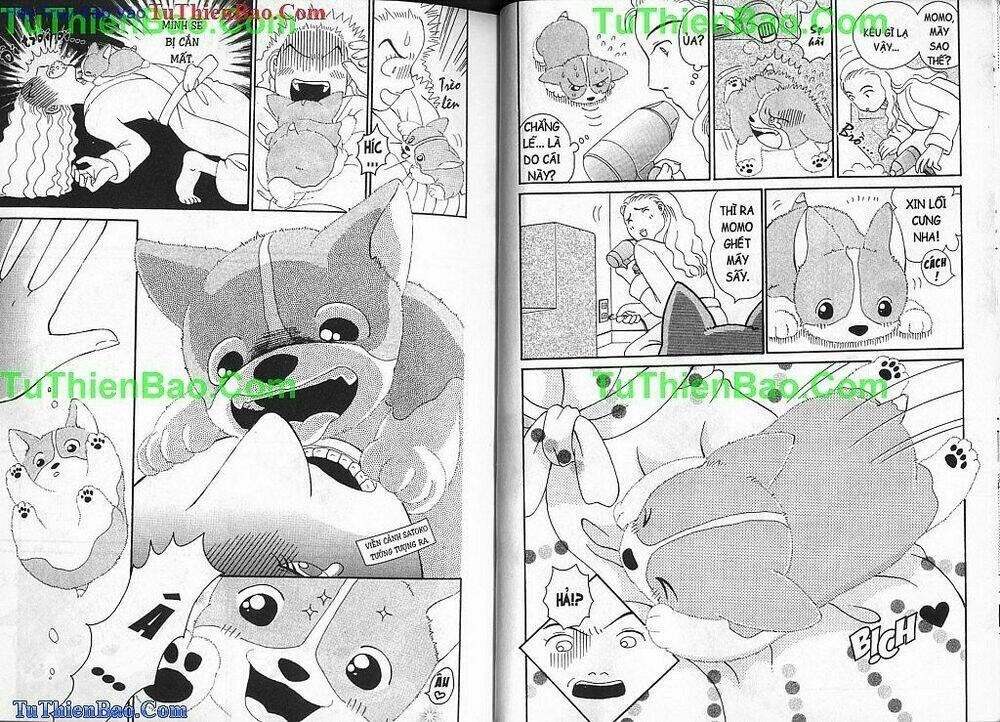 chó con mo mo chapter 1 23