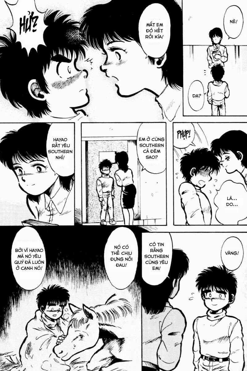 kaze no sylphid - phong mã silphid chapter 1 15