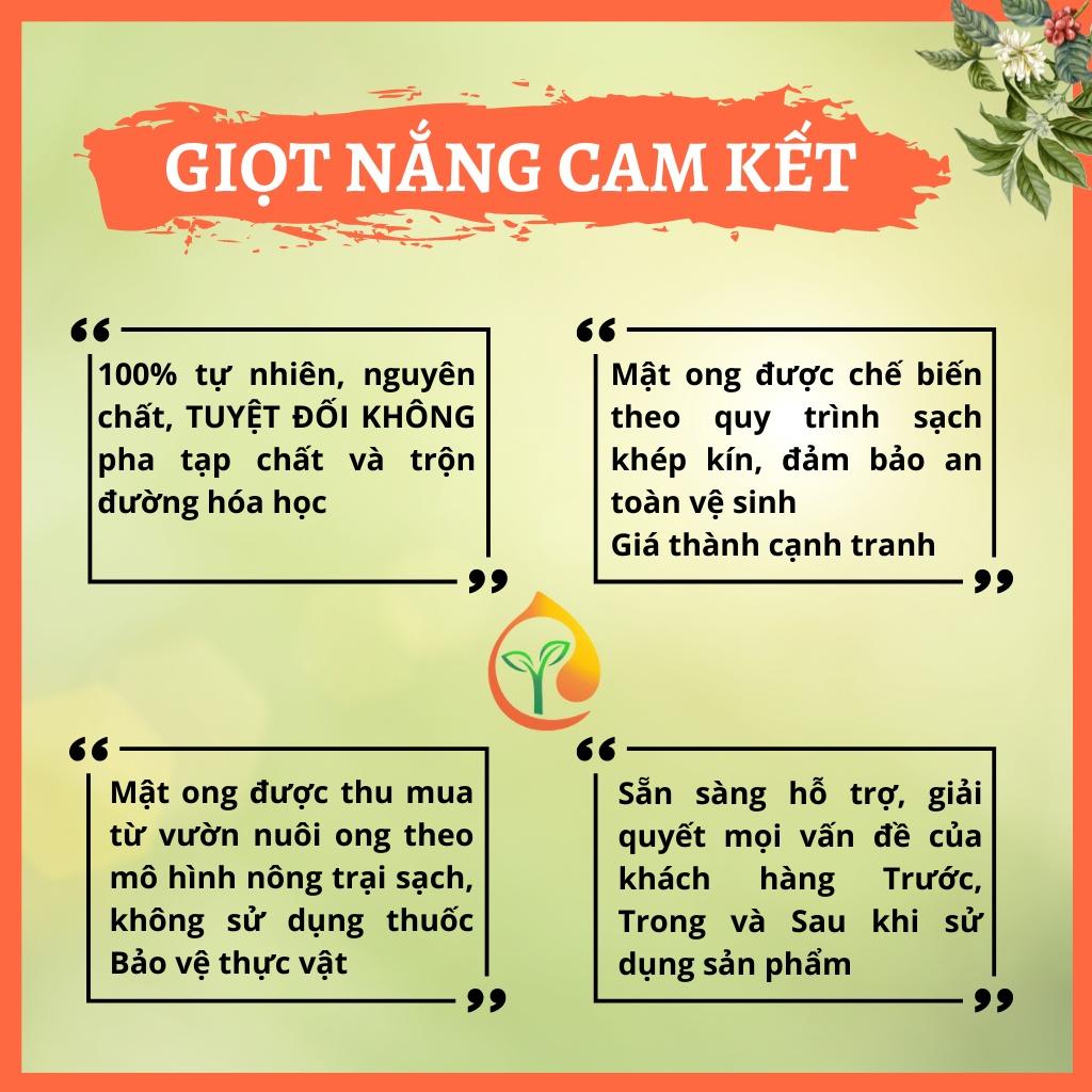 Mật ong hoa cà phê Đăk Lăk cao cấp, nguyên chất bổ dưỡng tốt cho sức khỏe thể tích 100ml từ NÔNG SẢN GIỌT NẮNG