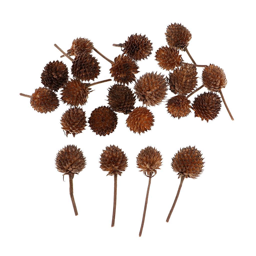 50pcs Mini Dried Flowers Fruits DIY Candy Box Christmas Wedding Decorations
