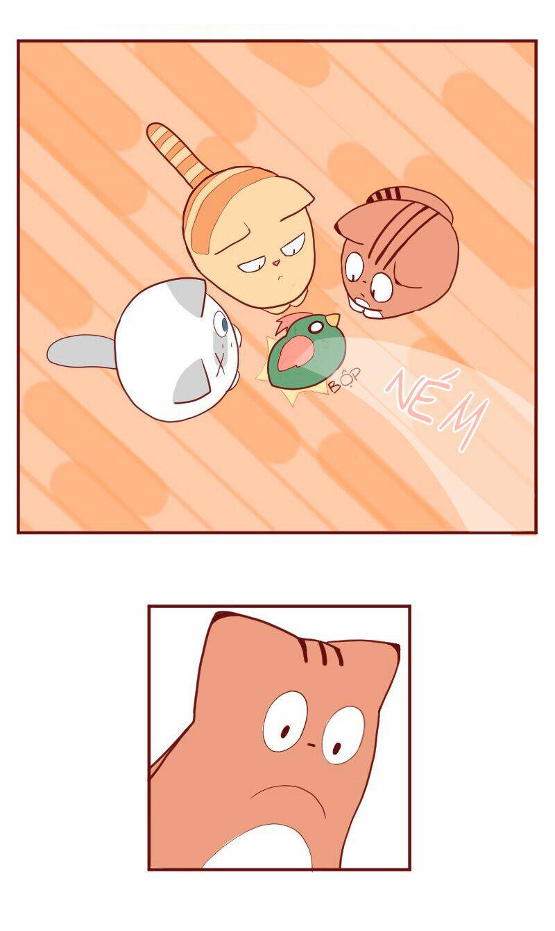 saphie: chú mèo một mắt chapter 5 3