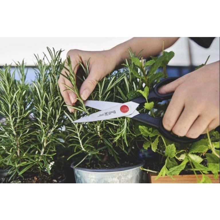 Kéo nhà bếp Twin L ZWILLING 41370-001