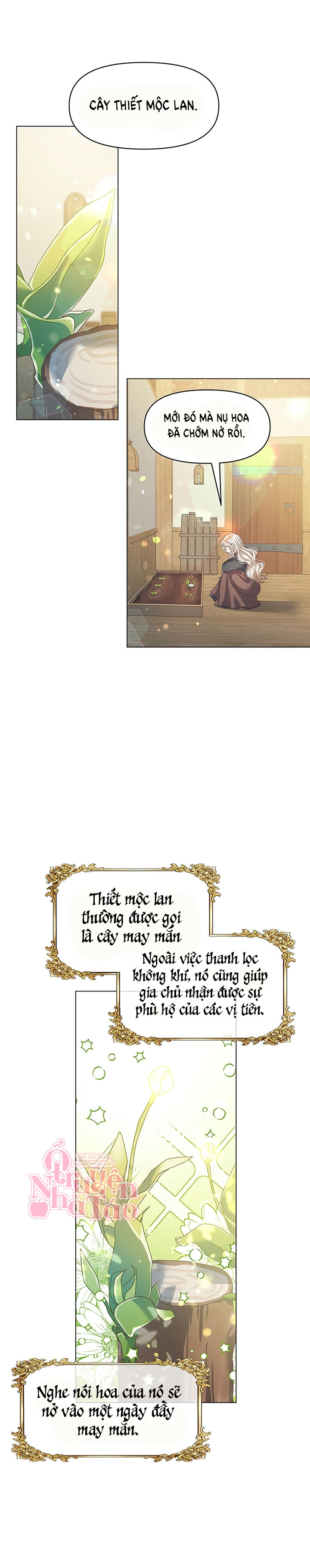 khu vườn tĩnh lặng chapter 10 4