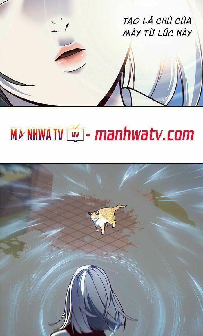 biến thân thành mèo chapter 80 74