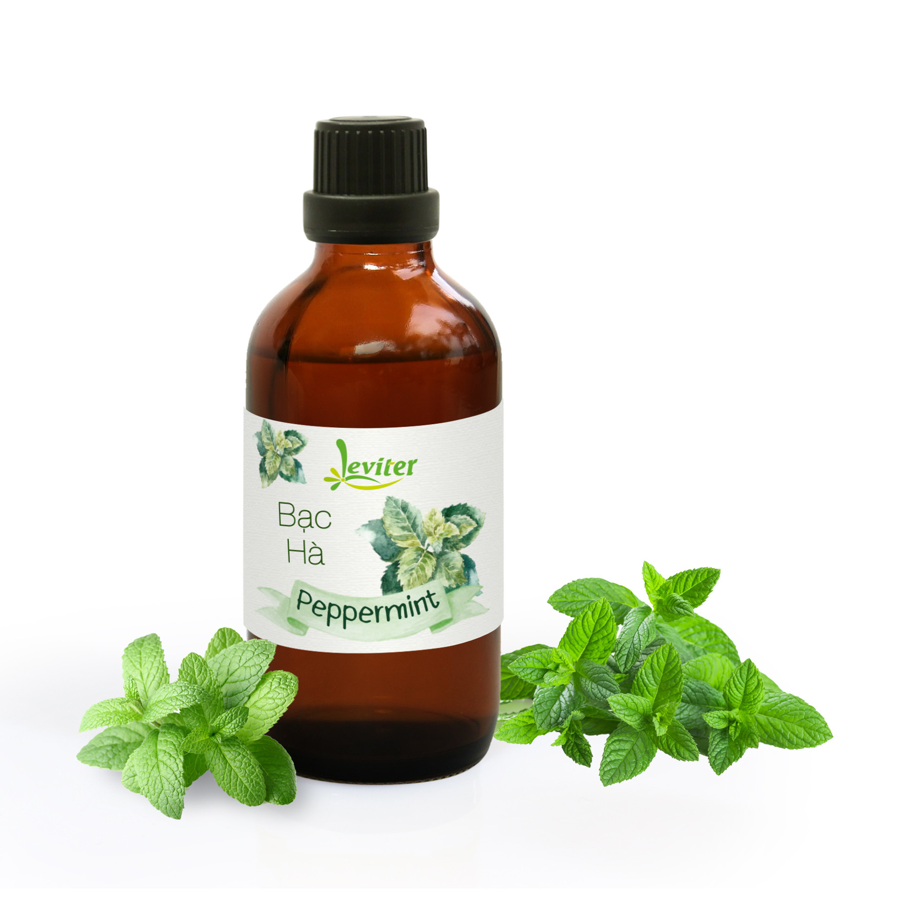 Tinh Dầu Bạc Hà Leviter 100ml Tặng Kèm Gel Rửa Tay Khô Sạch Da Kháng Khuẩn Hương Bạc Hà 100ml
