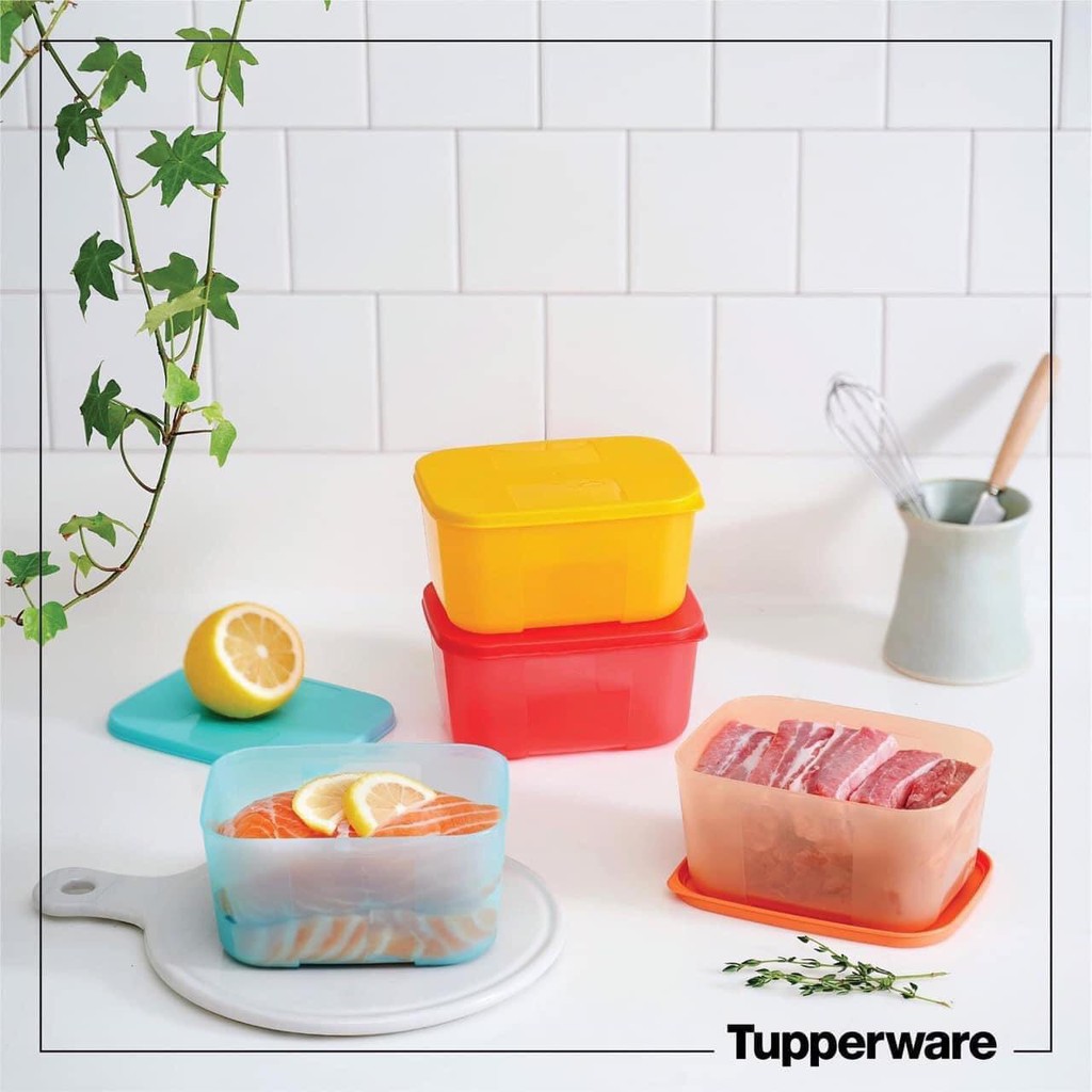 BỘ HỘP TRỮ ĐÔNG FREEZERMATE RAINBOW 650ML (4 hộp) TUPPERWARE CHÍNH HÃNG