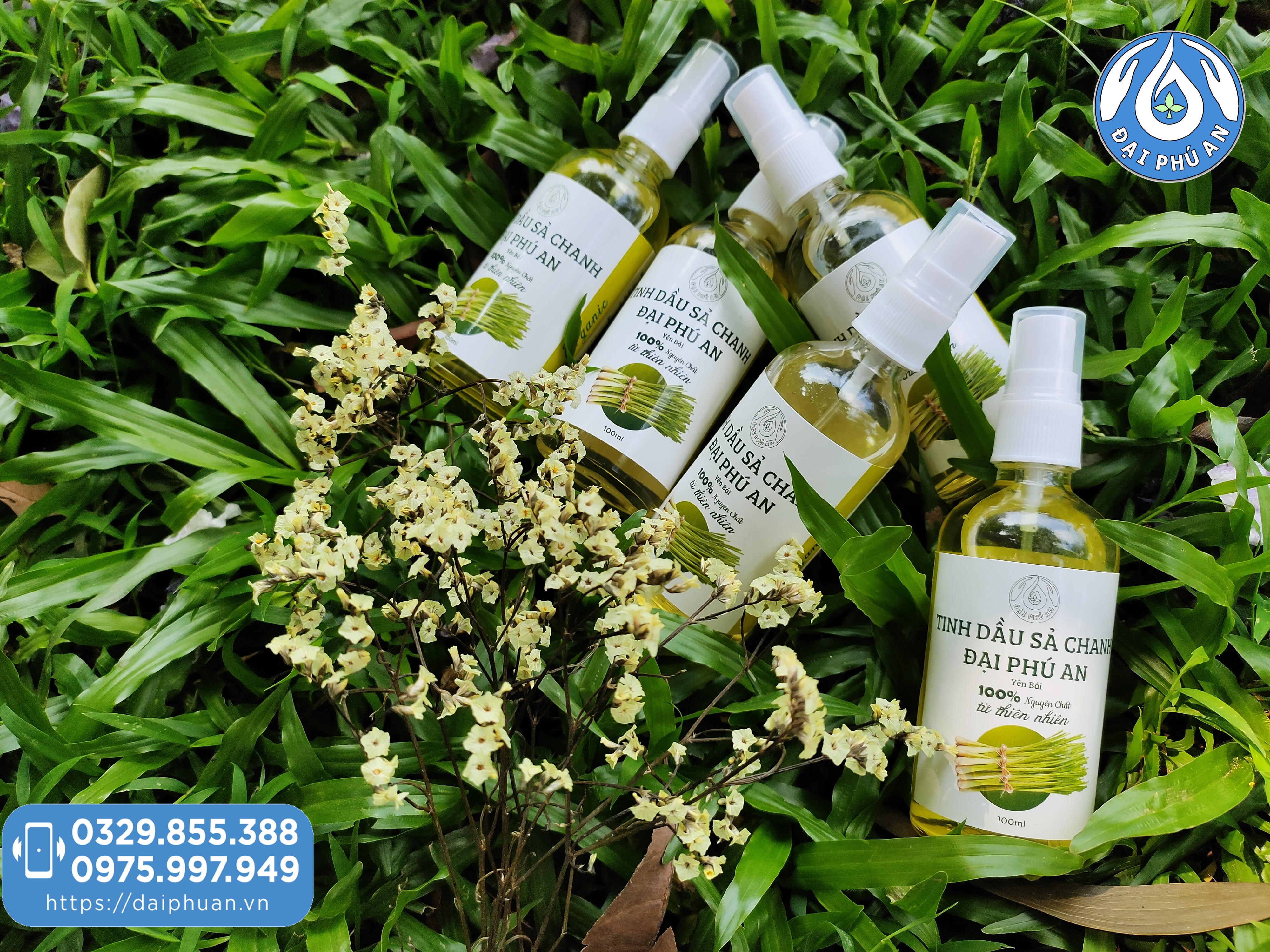 Tinh dầu Sả Chanh Đại Phú An chai 100ml
