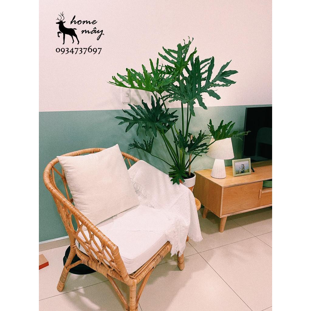 Ghế mây thư giản đọc sách, ghế mây đọc sách 100% mây tự nhiên. HOME MÂY mây chà vỏ cao cấp