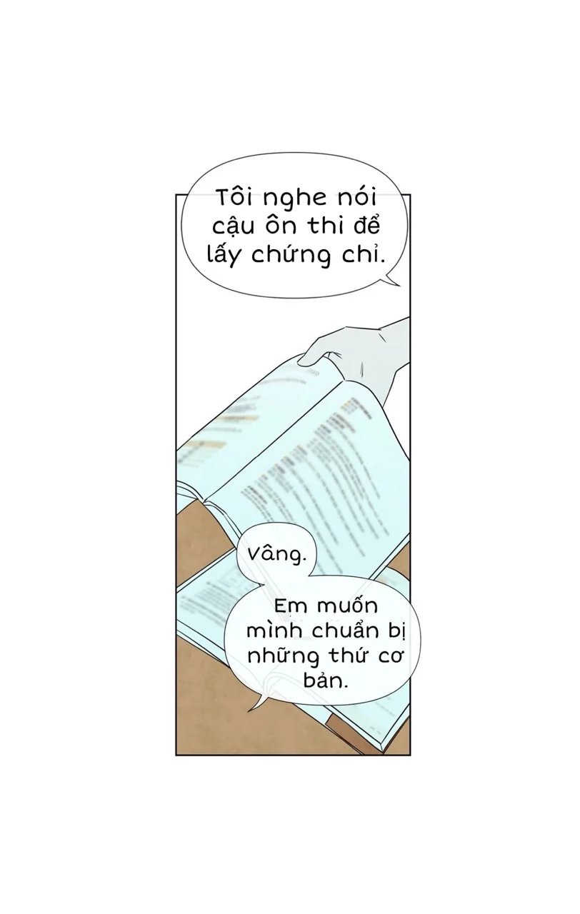 summer solstice point chapter 10 28