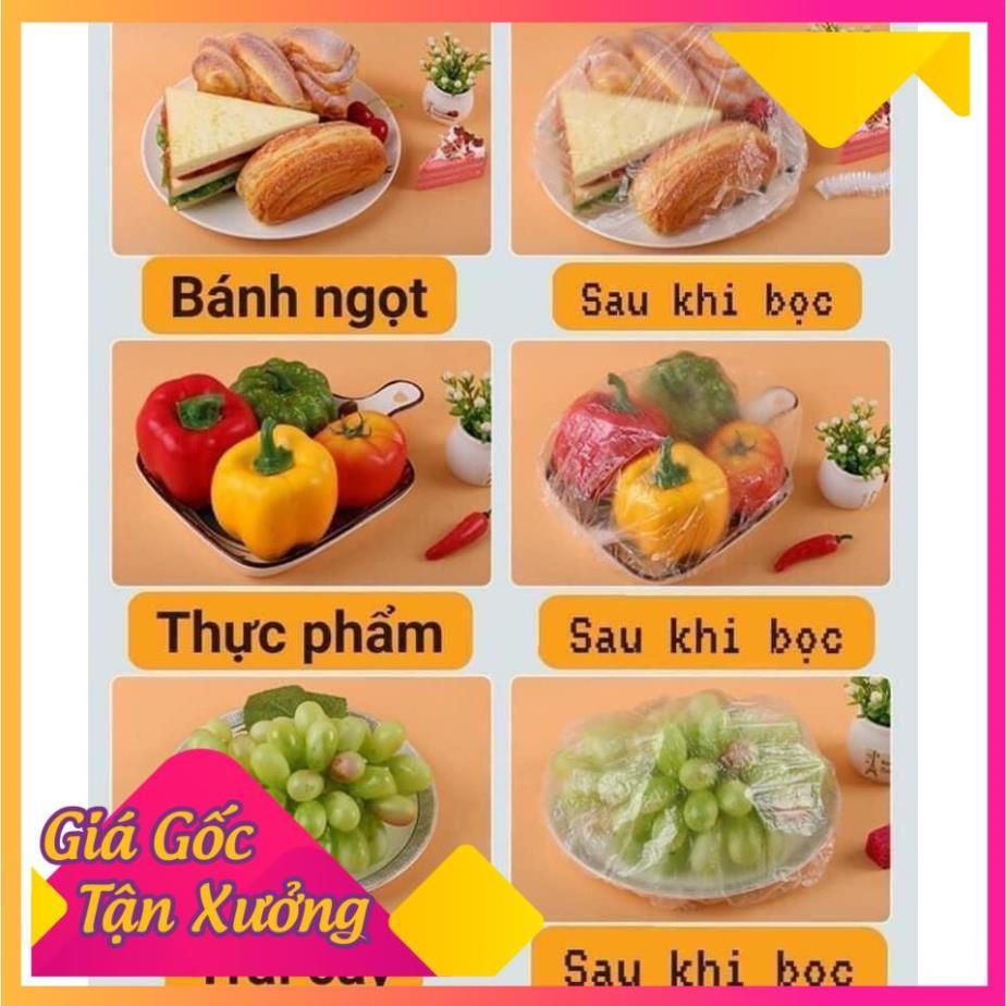 Màng Bọc Thực Phẩm Hình Gấu (Set 100 Cái) FREESHIP  TP'S