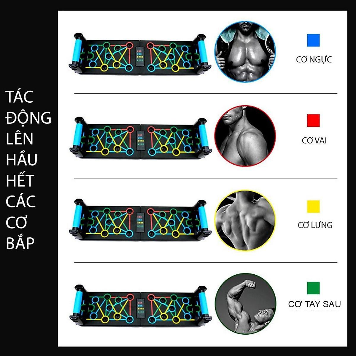 Dụng Cụ Hít Đất Hỗ Trợ Chống Đẩy Đa Năng 16 trong 1 - Bảng Chống Đẩy