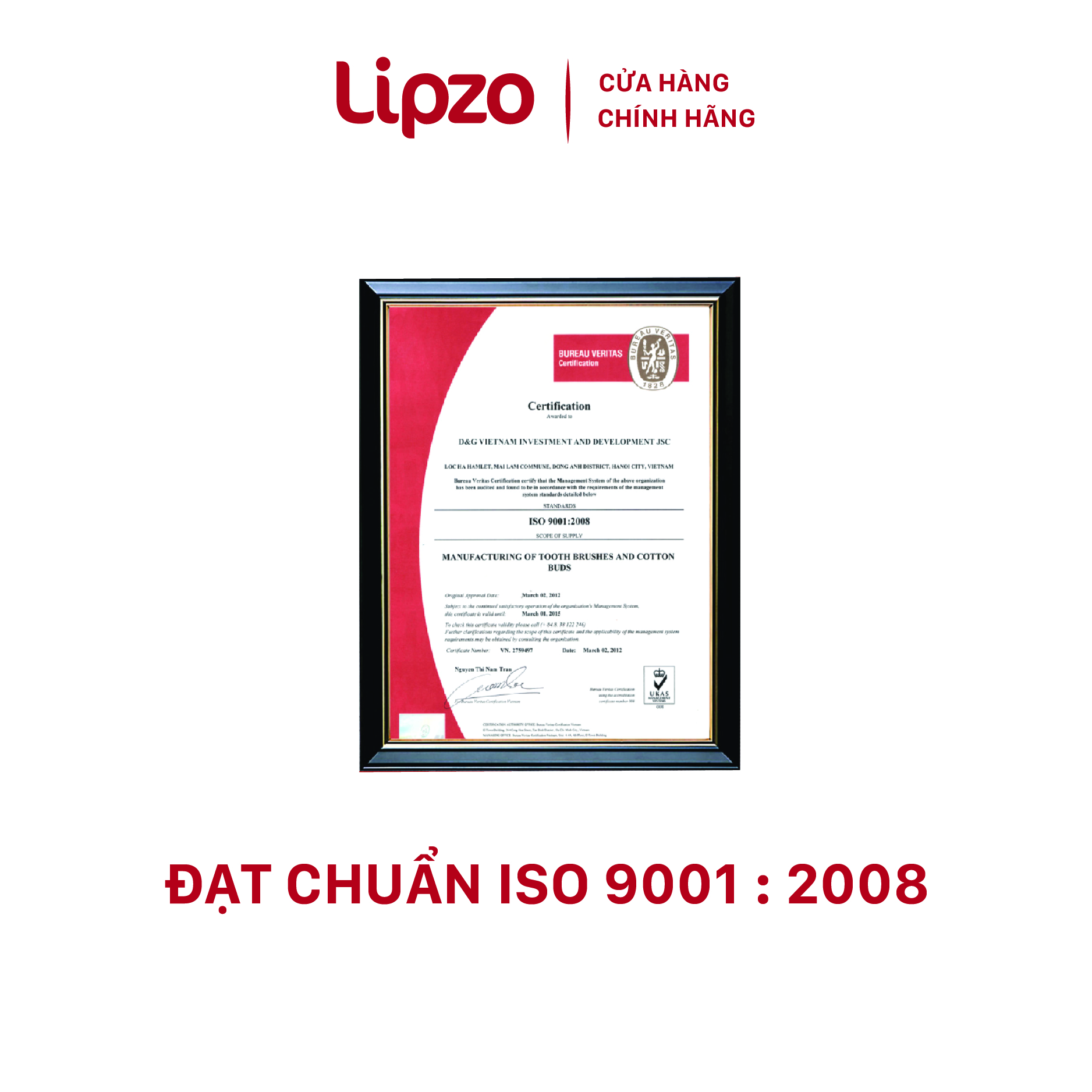 Bàn Chải Đánh Răng LIPZO Ruby Sensi Công Nghệ Lông Chỉ Tơ Nha Khoa Phù Hợp Phụ Nữ Men Răng Yếu, Nhạy Cảm