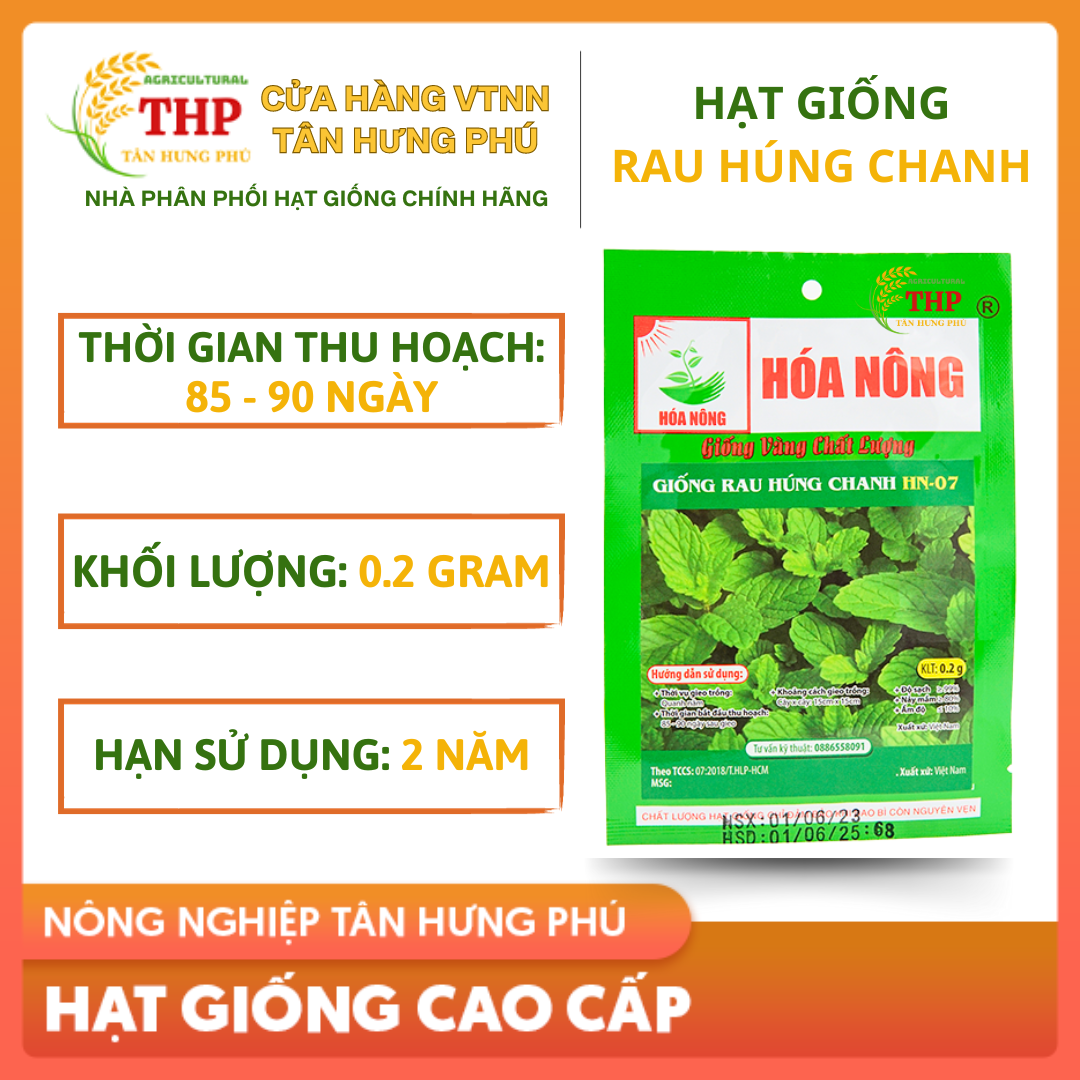 Hạt giống Húng Chanh HN-07 | Hạt Giống | gói 0.2gr