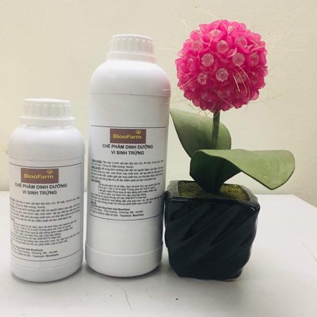 Vi sinh dinh dưỡng trứng 500ml