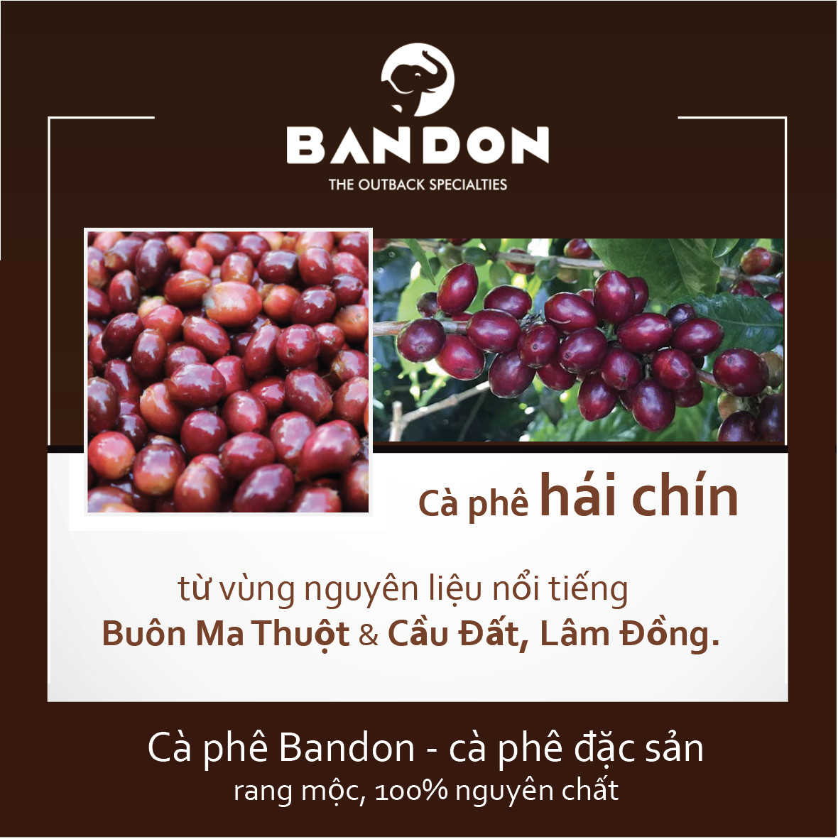 Cà phê phin nguyên chất rang xay mộc sạch BANDON THINK 250g đắng dịu, thơm ngát. Cà phê đặc sản (30% Arbica Cầu Đất Full wash, 70% Robusta Buôn Ma Thuột Dry)