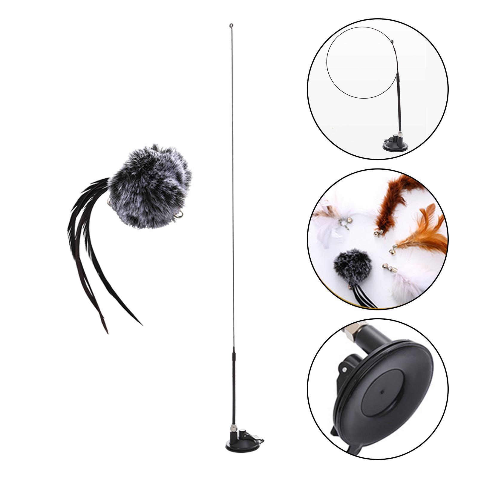 Kitten Toy Set Replacement Interactive Toys Exercise Pet Supplies