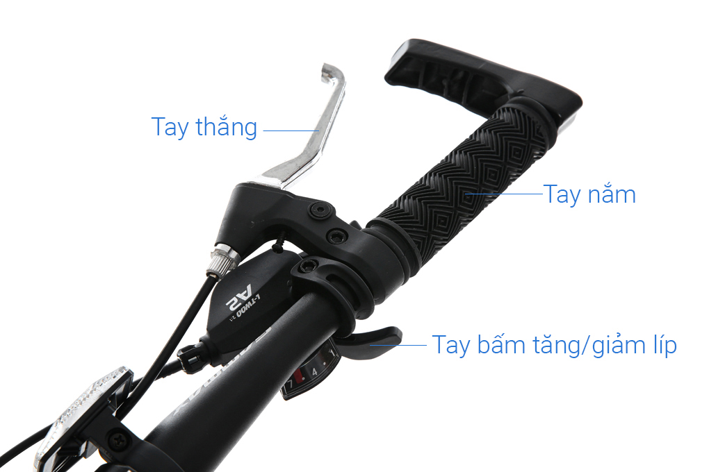 Xe đạp địa hình MTB Gammax 24-JIEBAO-3.0-21S 24 inch - Hàng chính hãng