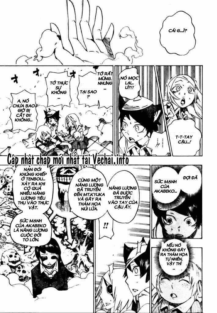 bokke-san chapter 13 19