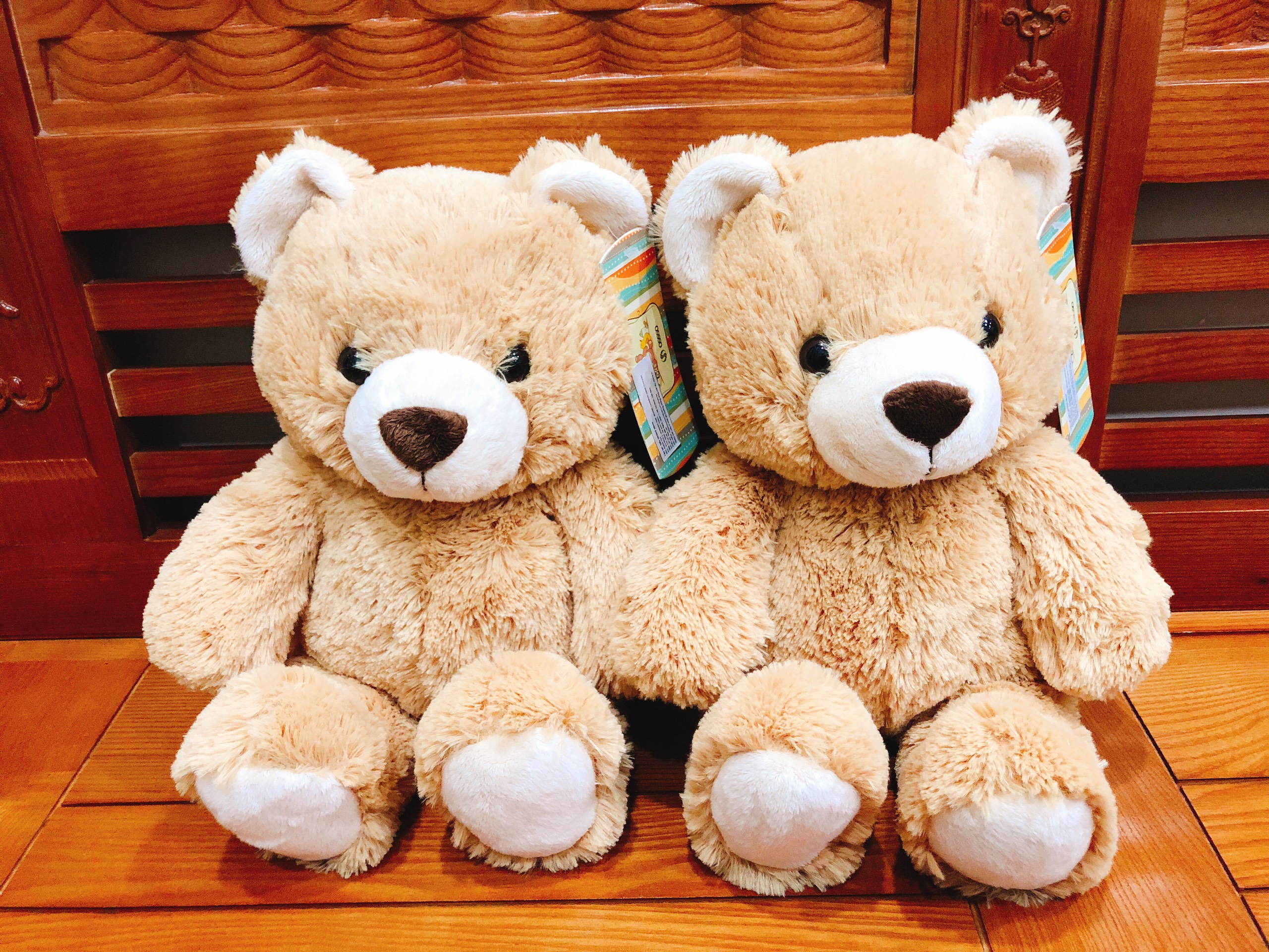 Gấu Bông Teddy Cao Cấp OSSSO38 38cm