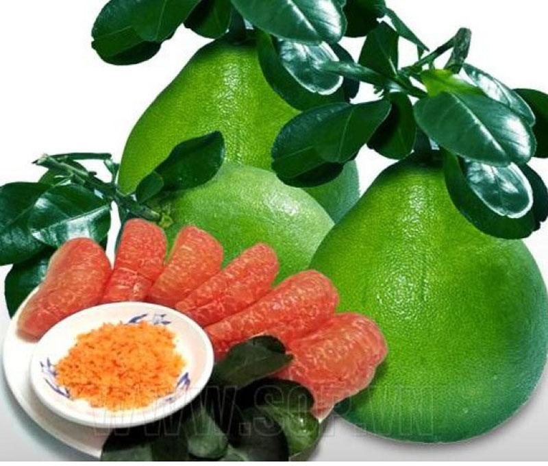Bưởi da xanh miền nam CHIẾT, cây bầu to khỏe, cam kết giống chuẩn