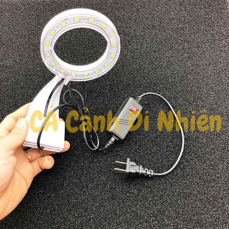 Đèn LED TRÒN đổi màu kẹp thành hồ cá thủy sinh size 20-40 cm