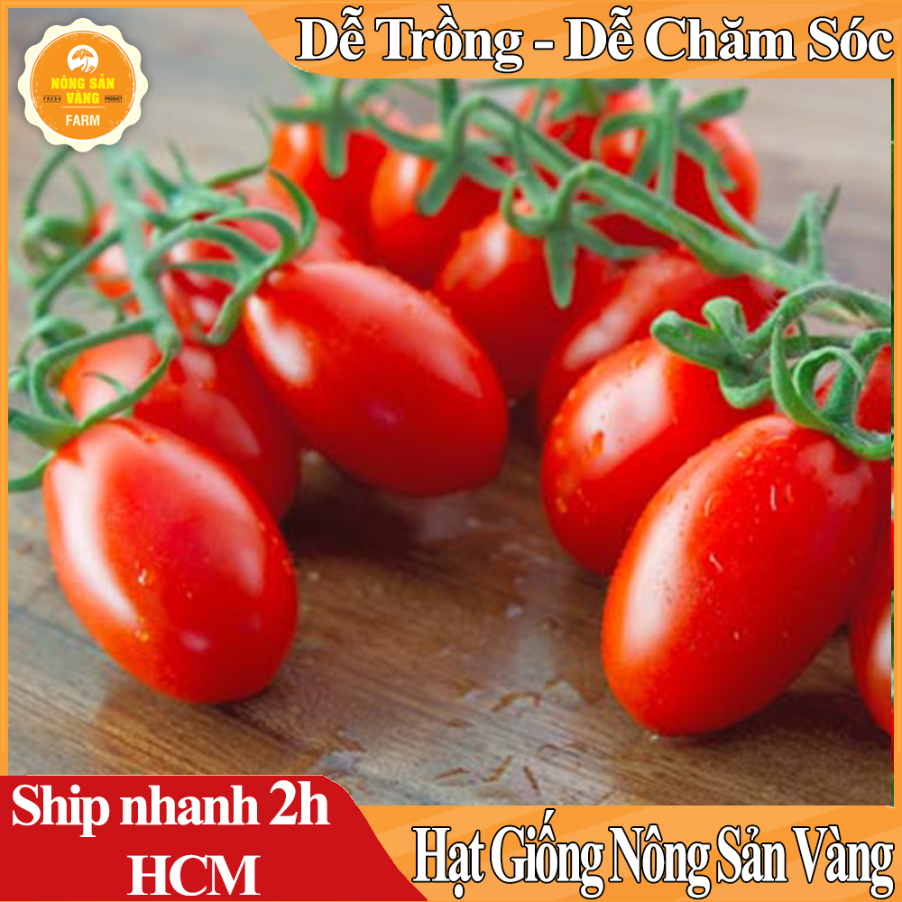 Hạt Giống Cà Chua Cherry Đỏ,Loại Quả Giàu Vitamin A, C và K Rất Tốt Cho Sức Khỏe, Trồng Được Quanh Năm - Nông Sản Vàng