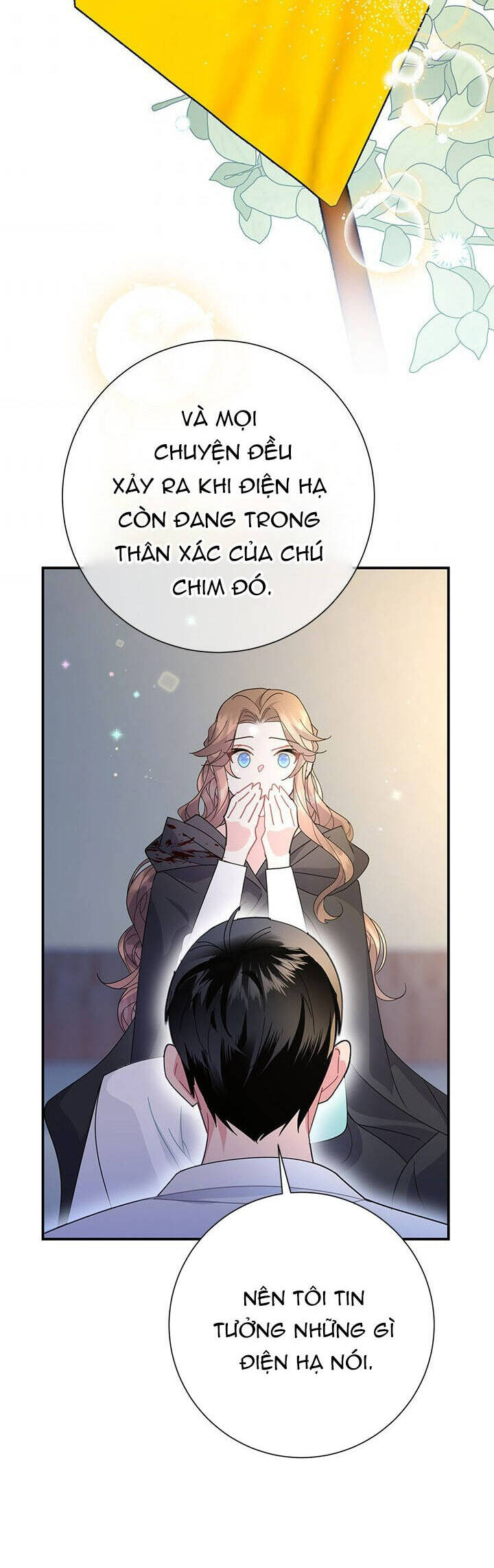 công chúa của loài chim chapter 55 36