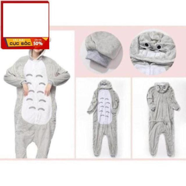 Bộ Đồ Thú Totoro