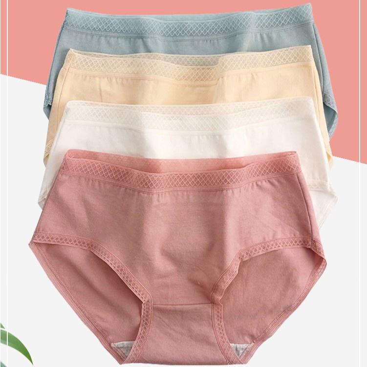 Set 5-10 Quần Lót Cotton Nữ Cạp Lưới Cao Cấp Loại To