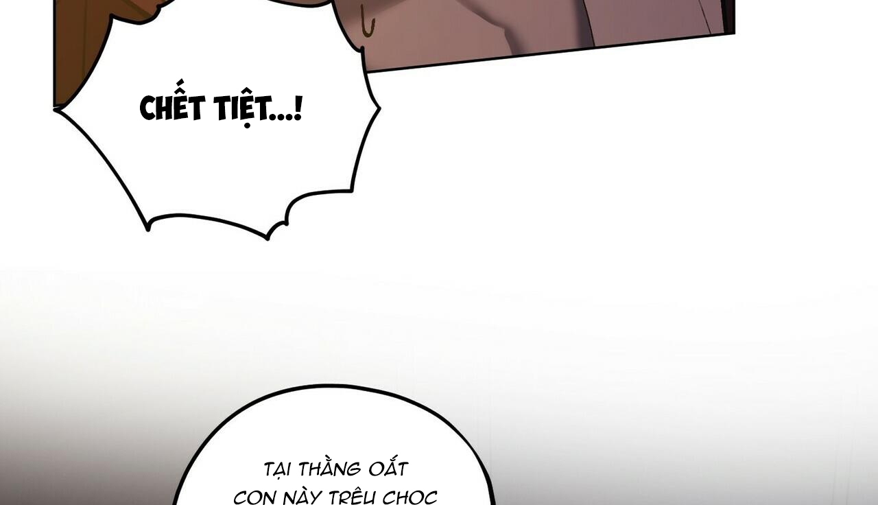 chàng dâu nhà họ kang chapter 22 136