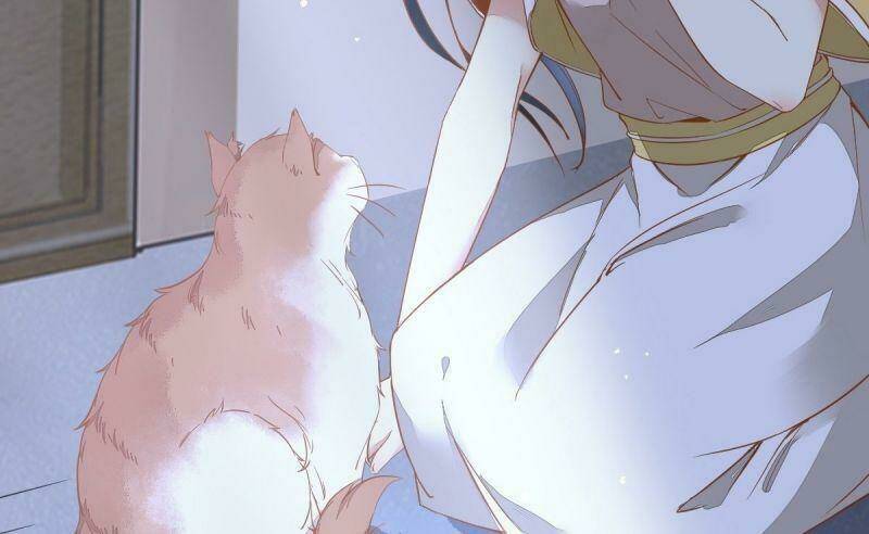 sát thủ vương phi không dễ chọc chapter 37 50