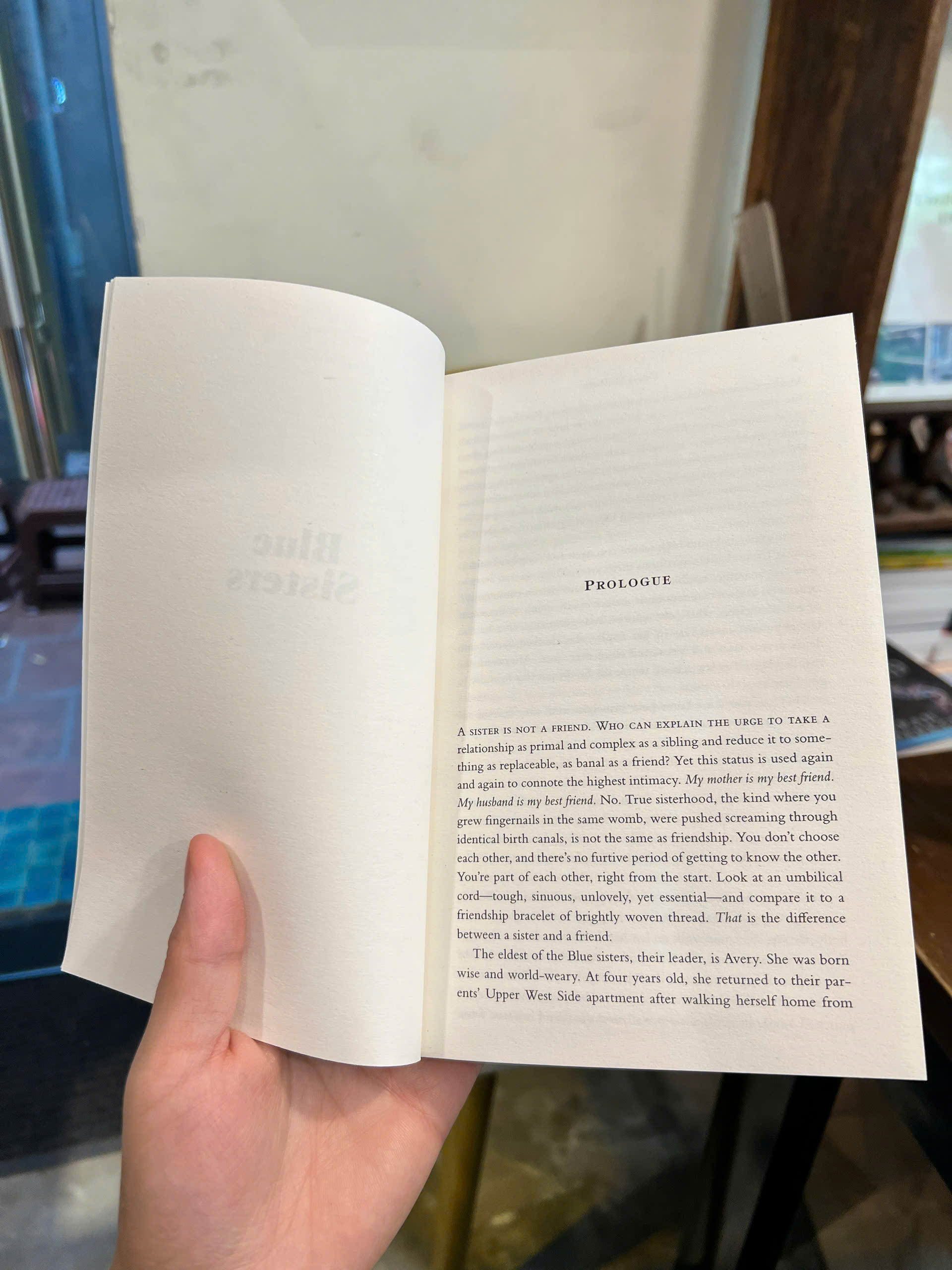Sách - Blue Sisters by Coco Mellors | Literary Fiction / BookTok / Ngoại văn Nhập khẩu UK / Văn học