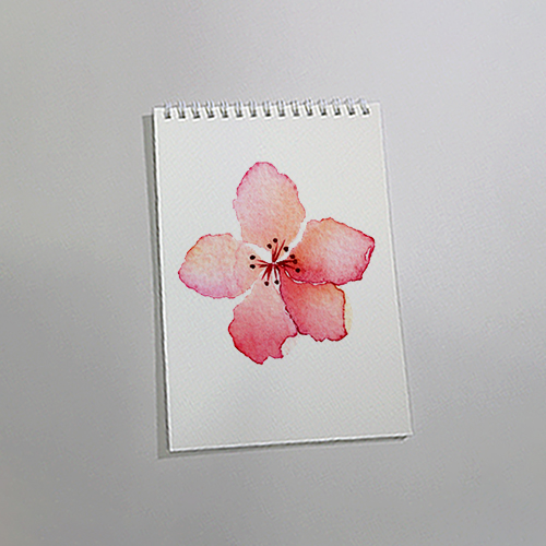 Sổ vẽ màu nước A5 cao cấp có vân - giấy vẽ chuyên dụng 15 tờ/cuốn dày 260gsm, giấy màu vàng kem lên màu rất tự nhiên, Green Art