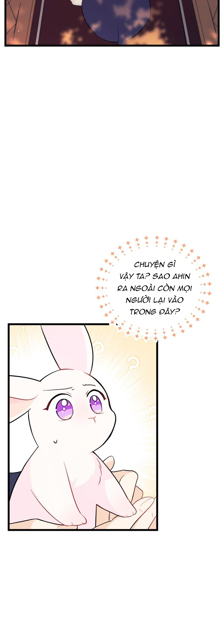 mối liên kết giữa báo đen và bé thỏ chapter 27 12