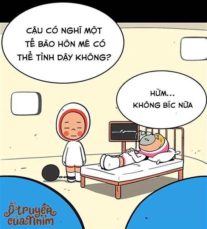 yumis cells chapter 4 16