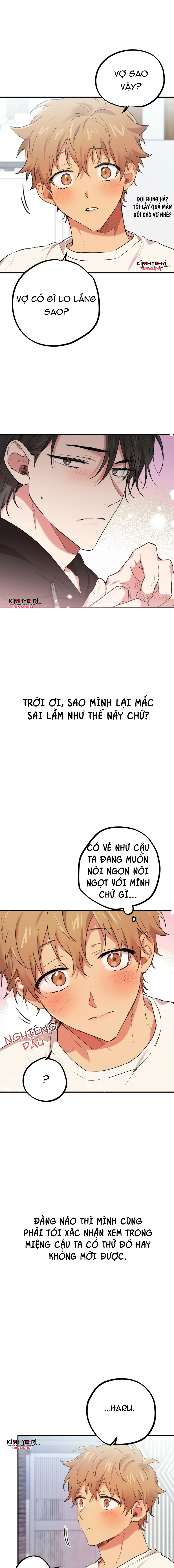 những chú thỏ của hapypy chapter 9 16