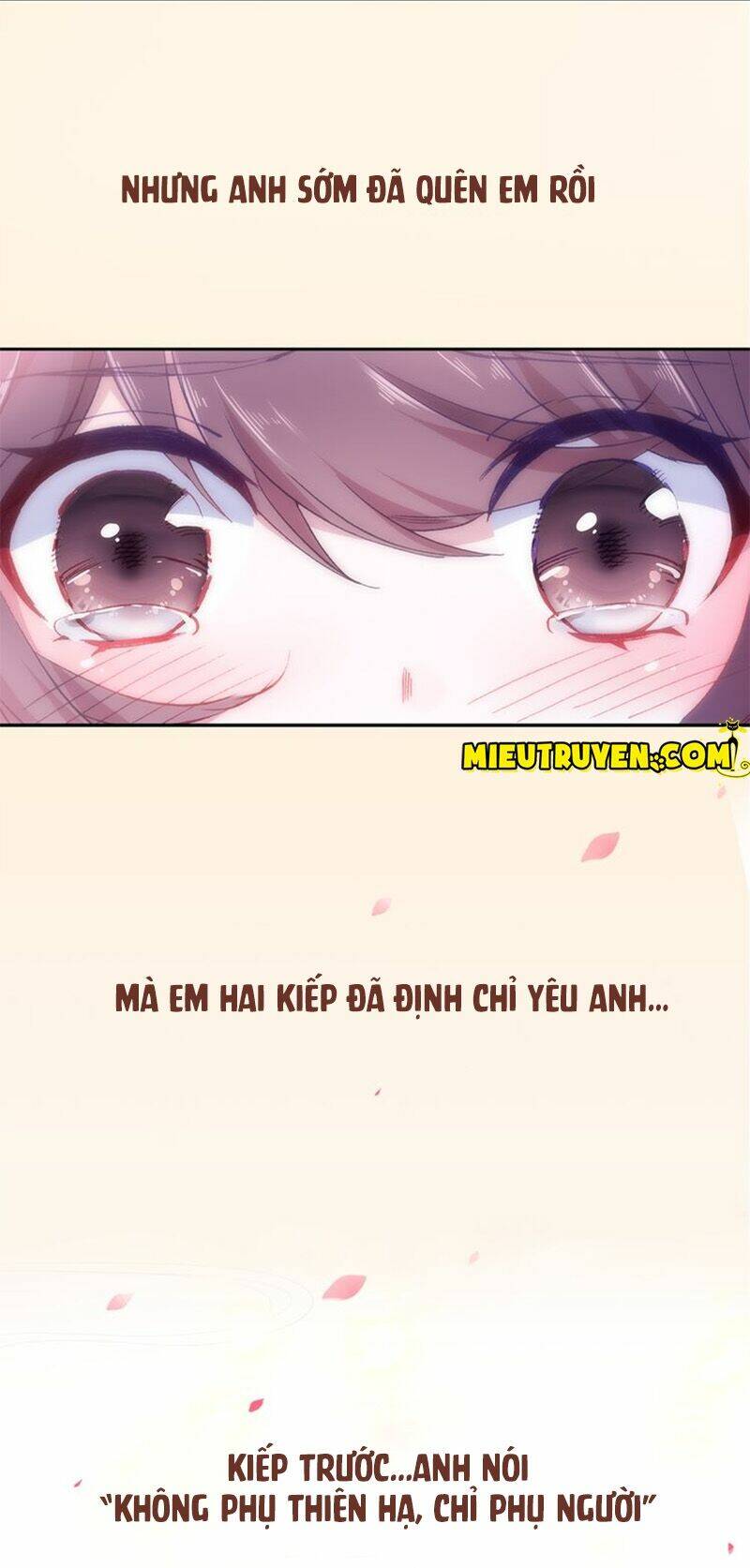 nhất sinh nhất thế mỹ nhân cốt chapter 0 19