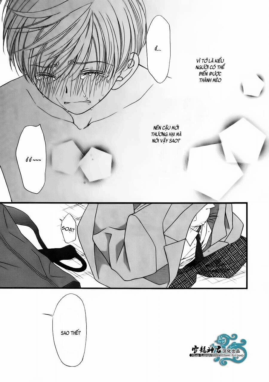 neko neko honey chapter 8 30