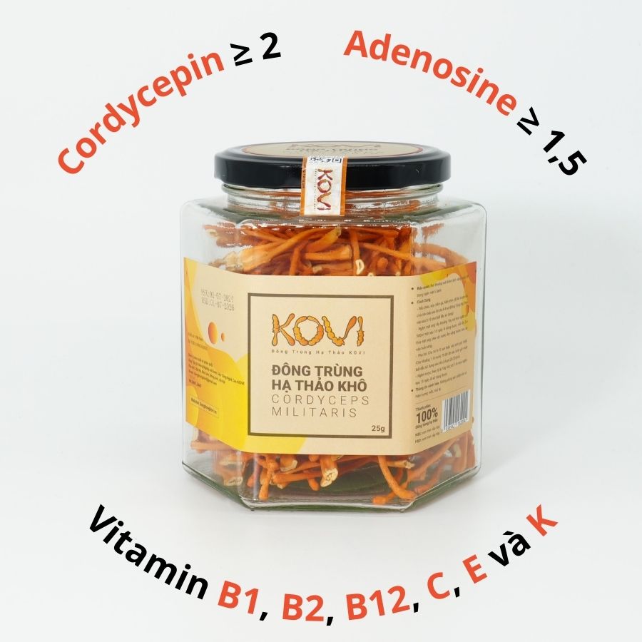 Đông trùng hạ thảo KOVI khô sấy thăng hoa 25g | Loại đẹp chất lượng cao tốt cho sức khỏe